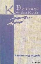 Книга Из дневника боксёра