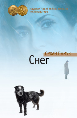 Книга Снег