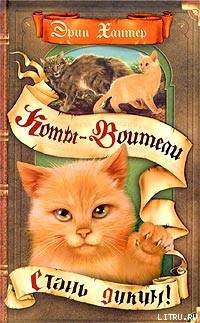 Книга Стань диким!