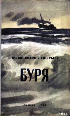 Книга Буря