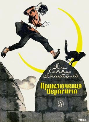 Книга Приключения Ибрагима