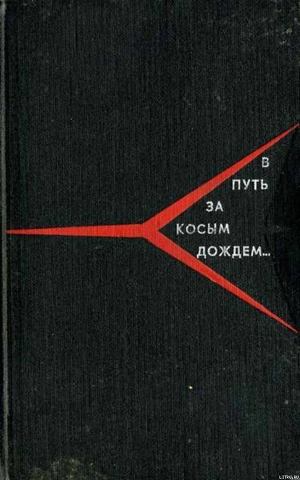 Книга В путь за косым дождём