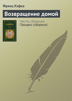 Книга Возвращение домой