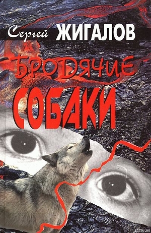Книга Бродячие собаки
