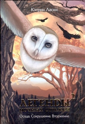 Книга Сокрушение