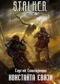Книга Константа связи