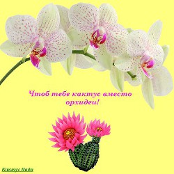 Книга Чтоб тебе кактус вместо орхидеи! (СИ)