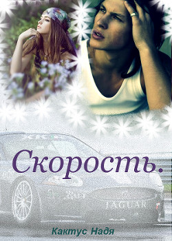 Книга Скорость (СИ)