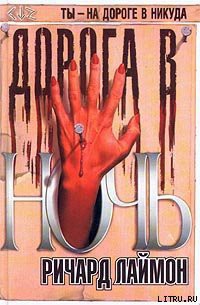 Книга Дорога в ночь