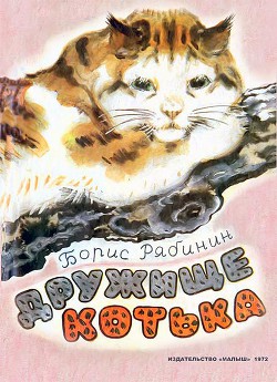 Книга Дружище Котька