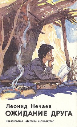 Книга Ожидание друга, или признания подростка
