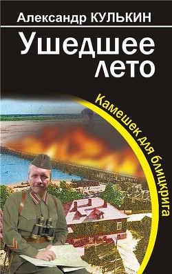 Книга Ушедшее лето. Камешек для блицкрига.