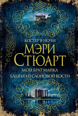 Книга Костер в ночи