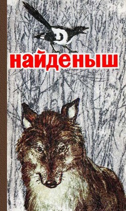 Книга Найденыш