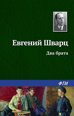 Книга Два брата