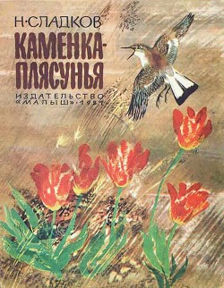 Книга Каменка-плясунья