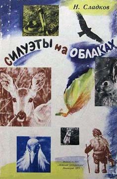 Книга Силуэты на облаках
