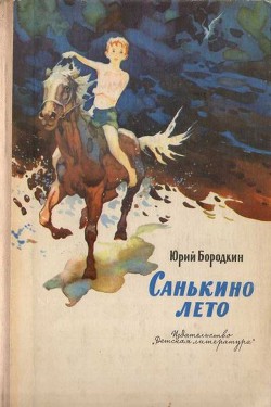 Книга Санькино лето