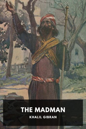 Книга The Madman