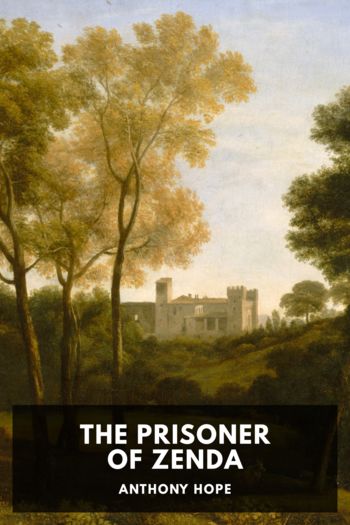 Книга The Prisoner of Zenda