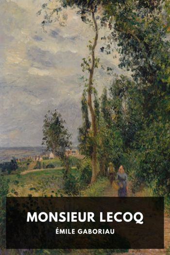 Книга Monsieur Lecoq