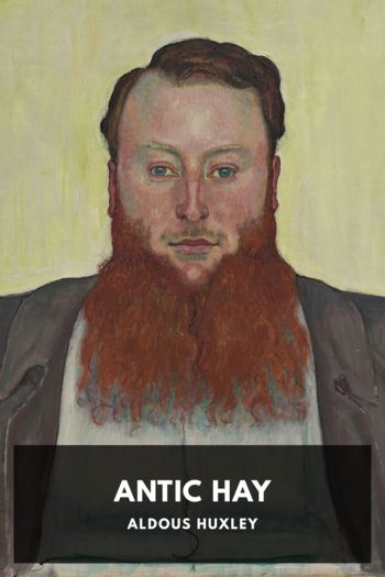 Книга Antic Hay