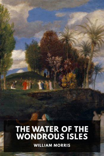 Книга The Water of the Wondrous Isles
