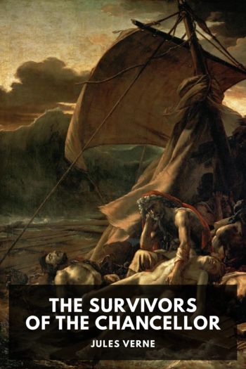 Книга The Survivors of the Chancellor