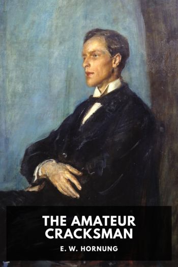 Книга The Amateur Cracksman