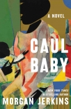Книга Caul Baby