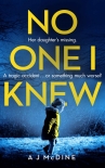 Книга No One I Knew