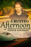 Книга A Busted Afternoon