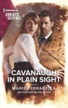 Книга Cavanaugh In Plain Sight (Cavanaugh Justice Book 42)