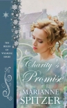 Книга Charity's Promise