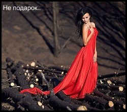 Книга Не подарок (СИ)