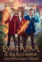 Книга Бунтарка в академии. Турнир Четырёх Стихий
