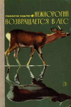 Книга Нежнорогий возвращается в лес