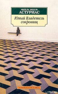 Книга Юный владетель сокровищ