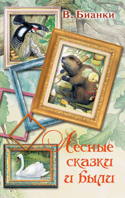 Книга Заяц-косач, медведь и весна