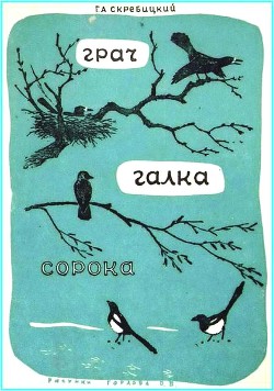 Книга Грач. Галка. Сорока
