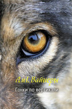 Книга Гонки по вертикали. Ощупью в полдень