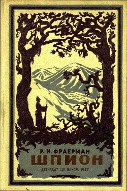 Книга Шпион