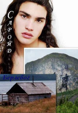 Книга Саройд (СИ)