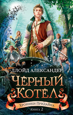 Книга Черный котел