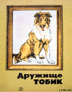 Книга Мальчик и две собаки