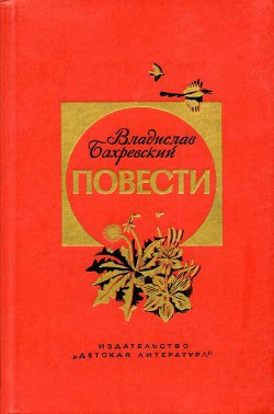 Книга Футбол
