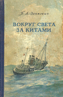 Книга Вокруг света за китами