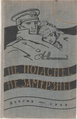 Книга Ночная встреча