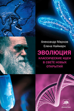 Книга Эволюция человека. Книга 2. Обезьяны нейроны и душа