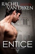 Книга Entice